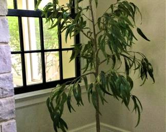Faux Ficus Plant