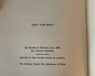 Vintage Bobbsey Twins books