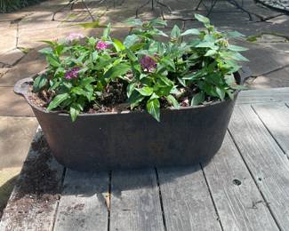 Potted plants in heavy metal containers
