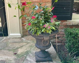 Many beautiful potted plants and shrubs for patio and porch