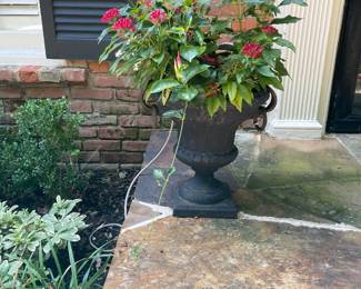 Many beautiful potted plants and shrubs for patio and porch