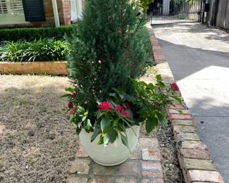 Many beautiful potted plants and shrubs for patio and porch