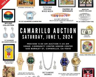 Camarillo Auction