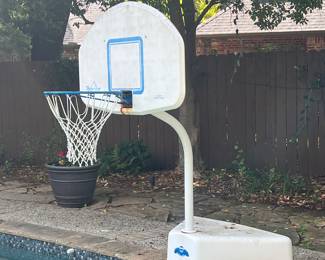 Pool basketball hoop