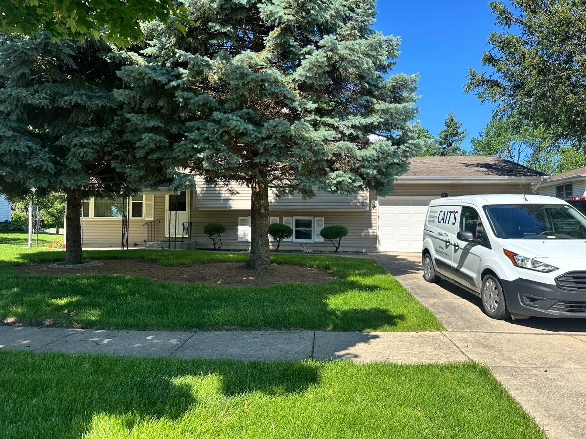 Cait's New Lenox Estate Sale 50 OFF SATURDAY! starts on 6/7/2024