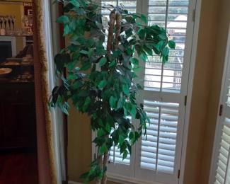 Items Located In The Family Room