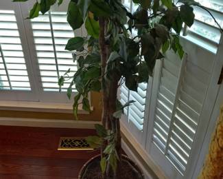 Items Located In The Family Room