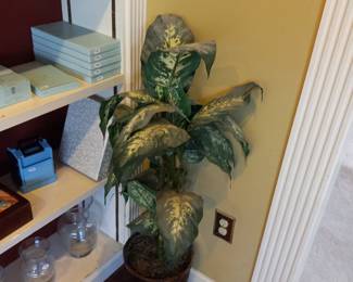 Items Located In The Family Room