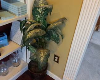 Items Located In The Family Room