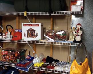 Items Located in The Lower Level Unfinish Storage Area