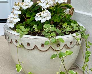 We have a Great Selection of Beautiful Potted Flowers, Shepherd Hooks, Bird Bath and Planters.