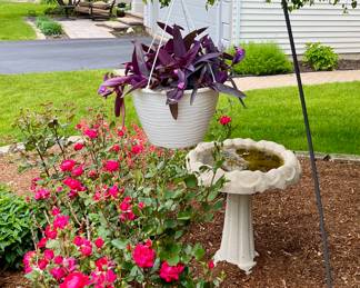 We have a Great Selection of Beautiful Potted Flowers, Shepherd Hooks, Bird Bath and Planters.