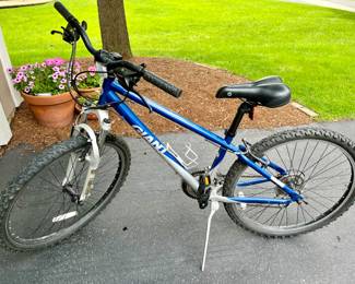 Giant Boulder 14" Mountain Bike (Blue)