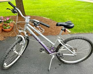 Giant Boulder 14" Mountain Bike (Silver)