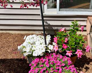 We have a Great Selection of Beautiful Potted Flowers, Shepherd Hooks, Bird Bath and Planters.