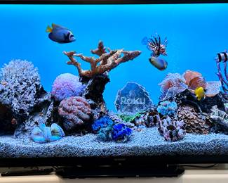 Sharp LC-60LE650U Smart TV, WiFi, HDMI, DIVX+, Dolby and DTX