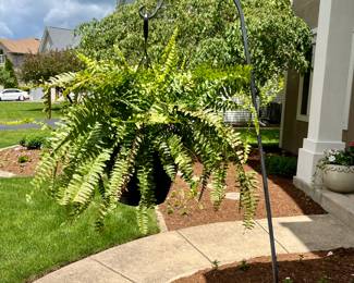 We have a Great Selection of Beautiful Potted Flowers, Shepherd Hooks, Bird Bath and Planters.