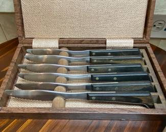 Set of 6 steak knives in storage container