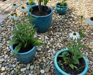 Assorted outdoor planters
