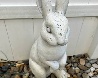 Cement bunny
