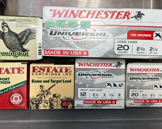 Assorted gun ammo