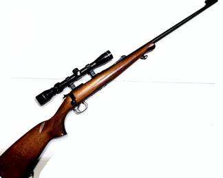 CZ American 22 caliber rifle with Burris scope