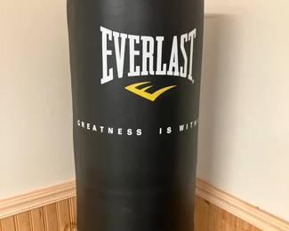 Everlasting power punching bag 