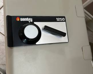Sentry safe