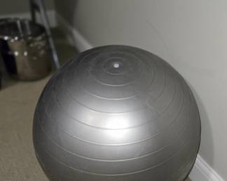 Exercise Ball
