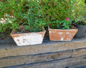 Terra Cotta Planters