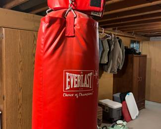 Punching bag and gloves