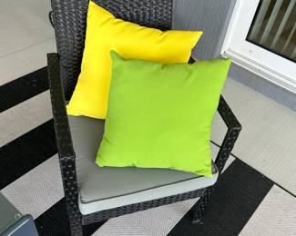 2 side Chairs &  cushions