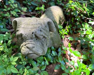 Concrete Mississippi State bully