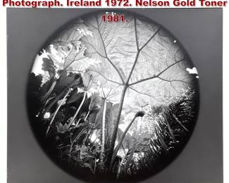 Lot 999 CLARENCE JOHN LAUGHLIN Photograph. Ireland 1972. Nelson Gold Toner 1981. 