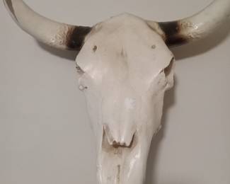 Western decor cattle skull