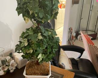 Topiary potted