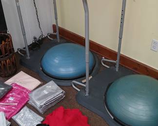 Bozu Balls! Great for core strength training