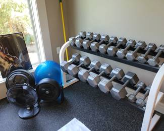 Weight set