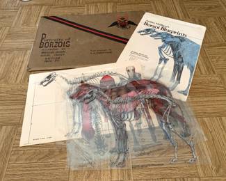 Audrey Mulligans Blueprints excellent condition