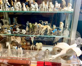 Miniature dogs, Bad to the Bun Short Hares Chapter Bunny Rabbit