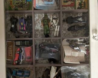Great Display Case with mixed contents