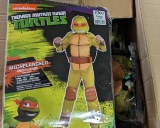 Teenage Mutant Ninja Turtles Halloween Costumes - 4 cases