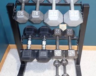 WEIGHTS & HOLDER