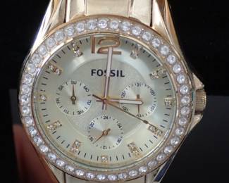 FOSSIL WATCH