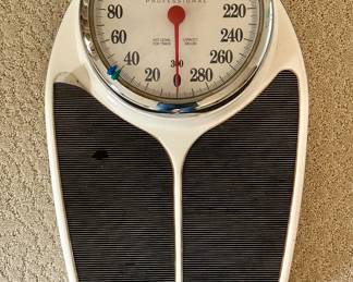 Health o Meter Scale