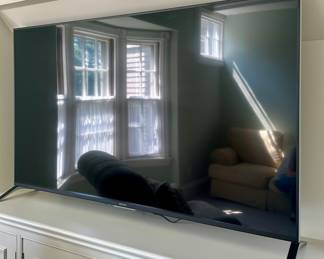 Sony Bravia TV XBR - 65"