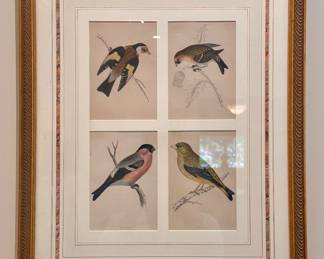 (2) 1870  English Hand Colored Bird Lithographs Signed Morris
