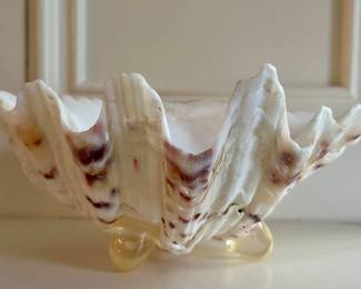 Shell Dish