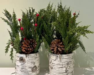 (2) Faux Greenery in Birchwood Planters