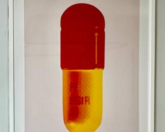 Framed Damien Hirst Print